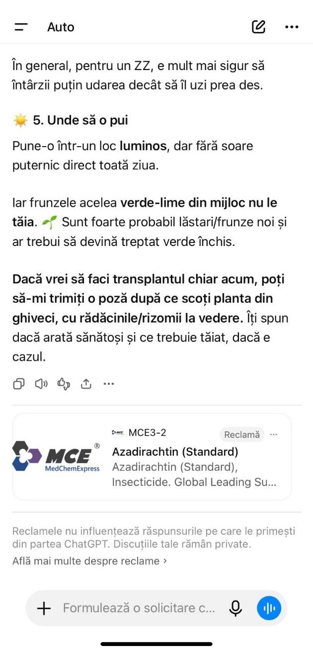 Exemplu de reclama in ChatGPT